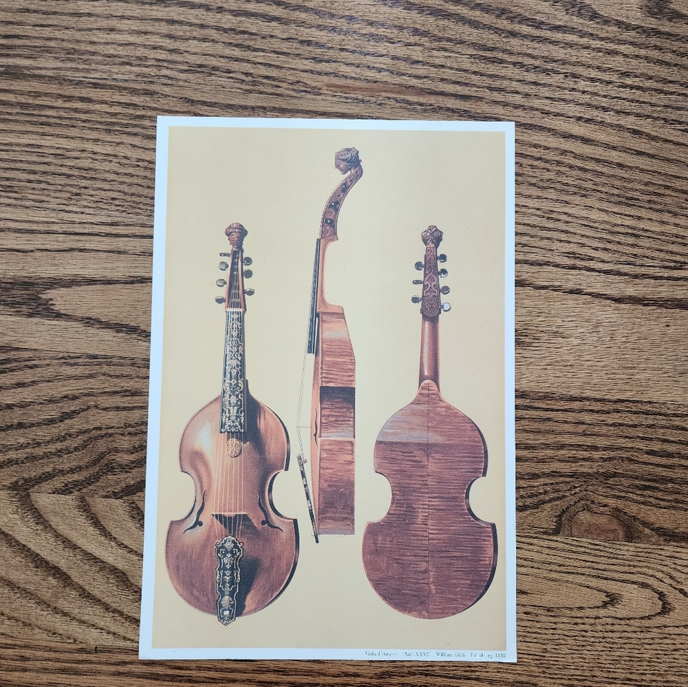 Vintage String Viola D' Amore William Gibb Edinburg Instrument Music Art Print